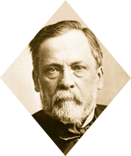 Louis PASTEUR, la vie en héritage